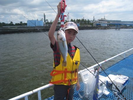 オリジナルメーカー海づり公園(市原市海づり施設) 釣果