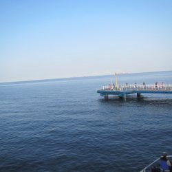 オリジナルメーカー海づり公園(市原市海づり施設) 釣果
