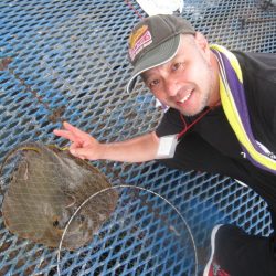 オリジナルメーカー海づり公園(市原市海づり施設) 釣果
