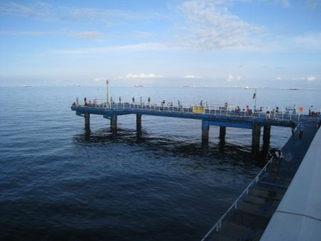 オリジナルメーカー海づり公園(市原市海づり施設) 釣果