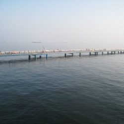 オリジナルメーカー海づり公園(市原市海づり施設) 釣果