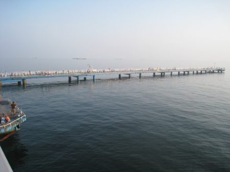 オリジナルメーカー海づり公園(市原市海づり施設) 釣果