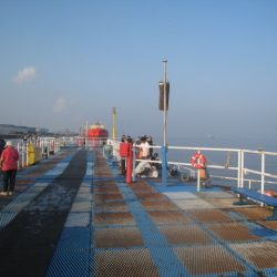 オリジナルメーカー海づり公園(市原市海づり施設) 釣果