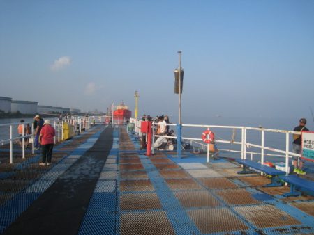 オリジナルメーカー海づり公園(市原市海づり施設) 釣果