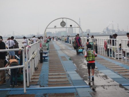 オリジナルメーカー海づり公園(市原市海づり施設) 釣果