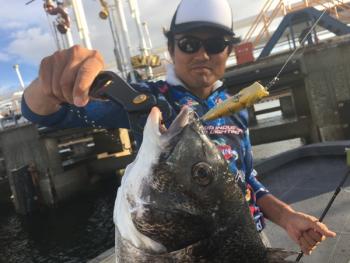 シーマジカル 釣果