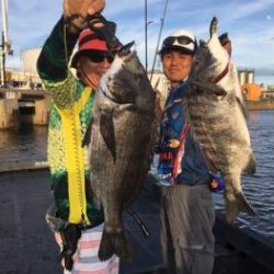 シーマジカル 釣果