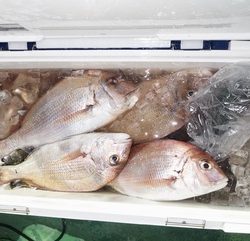 恵陽丸 釣果