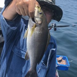 さんさん丸 釣果