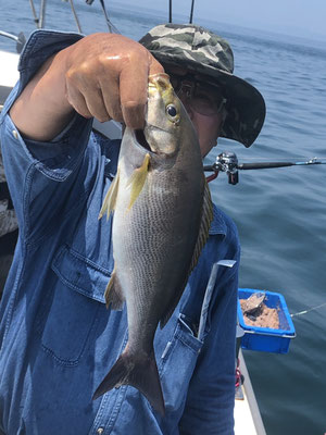 さんさん丸 釣果