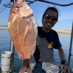 さんさん丸 釣果