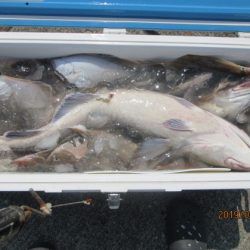 大進丸（新潟） 釣果