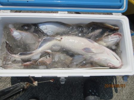 大進丸（新潟） 釣果