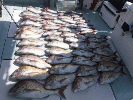 遊漁船 幸友丸 釣果