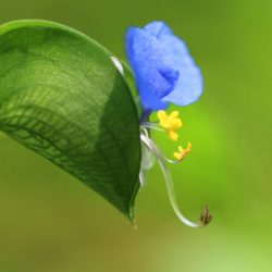 小菅トラウトガーデン 釣果