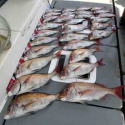 遊漁船 セトマリン 釣果