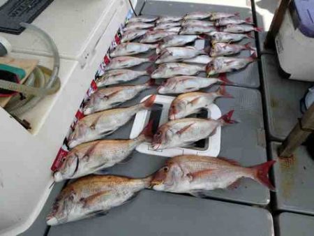 遊漁船 セトマリン 釣果