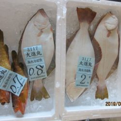 大進丸(新潟) 釣果