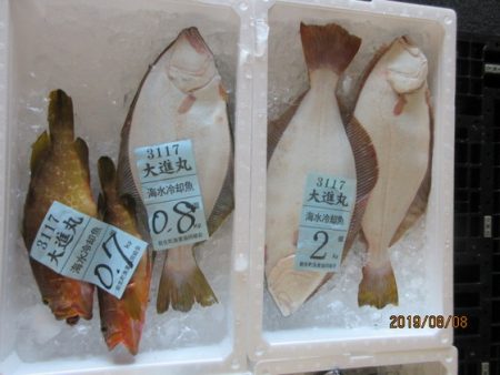 大進丸（新潟） 釣果