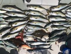 さぶろう丸 釣果