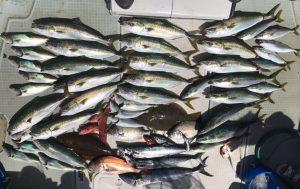 さぶろう丸 釣果