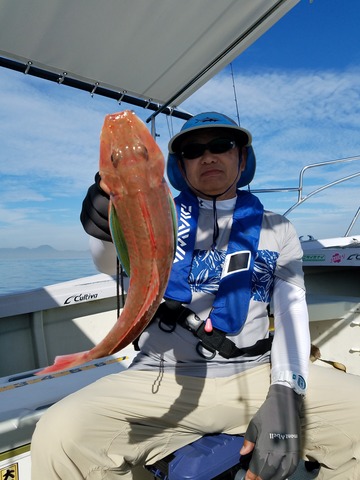 遊漁船　ニライカナイ 釣果