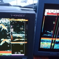 遊漁船ブルーウッズ 釣果