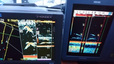 遊漁船ブルーウッズ 釣果