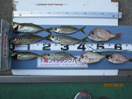 下関フィッシングパーク 釣果