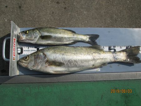 下関フィッシングパーク 釣果