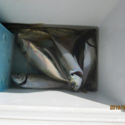 下関フィッシングパーク 釣果