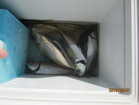 下関フィッシングパーク 釣果