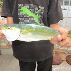 下関フィッシングパーク 釣果