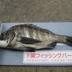 下関フィッシングパーク 釣果