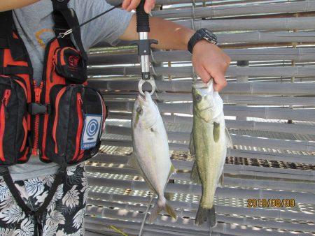 下関フィッシングパーク 釣果