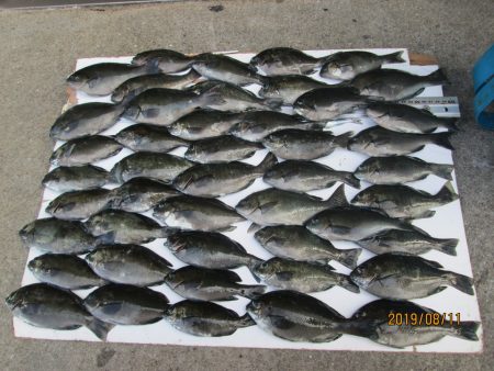 下関フィッシングパーク 釣果