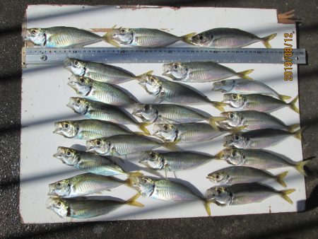 下関フィッシングパーク 釣果