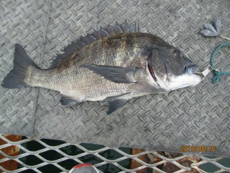 下関フィッシングパーク 釣果