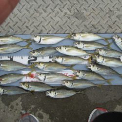 下関フィッシングパーク 釣果