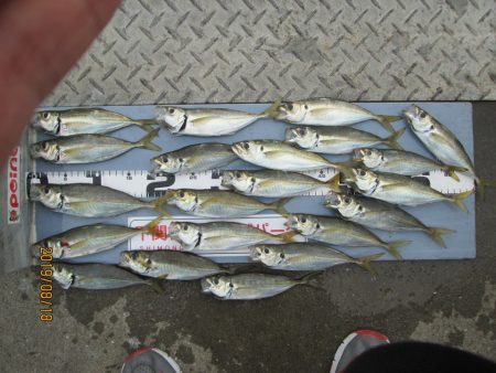 下関フィッシングパーク 釣果