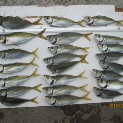 下関フィッシングパーク 釣果