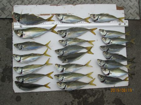 下関フィッシングパーク 釣果