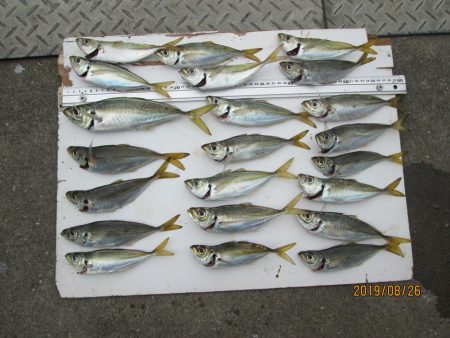 下関フィッシングパーク 釣果