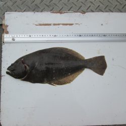 下関フィッシングパーク 釣果