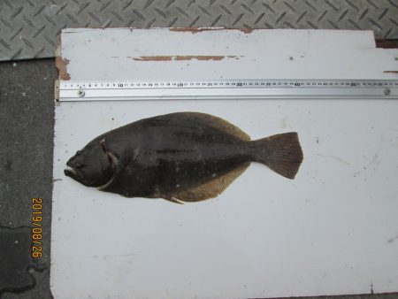 下関フィッシングパーク 釣果