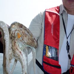 かもめ釣船 釣果