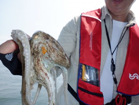 かもめ釣船 釣果