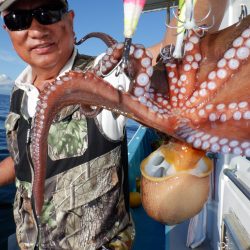 かもめ釣船 釣果