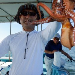 かもめ釣船 釣果