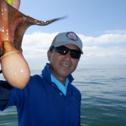 かもめ釣船 釣果